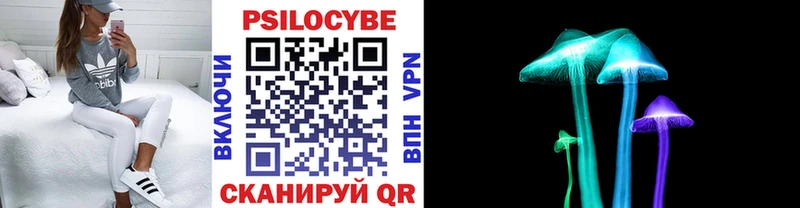 Псилоцибиновые грибы мицелий  Александровск-Сахалинский 